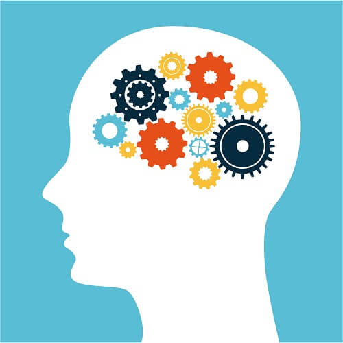 Cognitive Psychology and Memory Studies