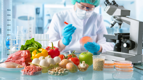 Food Product Development and Innovation