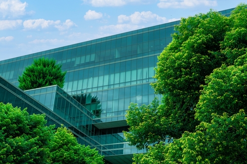 Sustainable Design and Eco-friendly Architecture