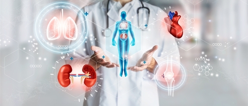 Human Physiology and Anatomy